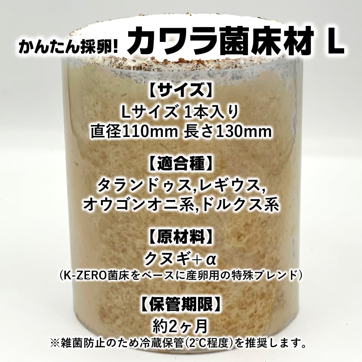 Amazon | タランドゥスオオツヤ 1メス54個採卵！【DDA】カワラ菌床材L